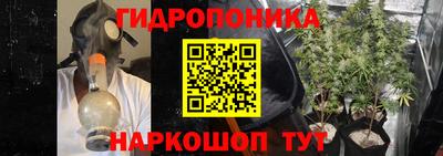 спиды Гай