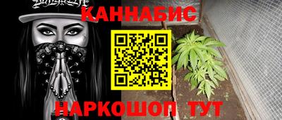 меф Гатчина