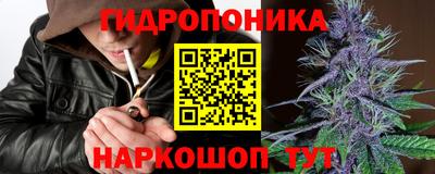 спиды Гай