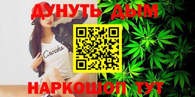 спиды Гай