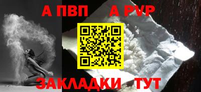 спиды Гай
