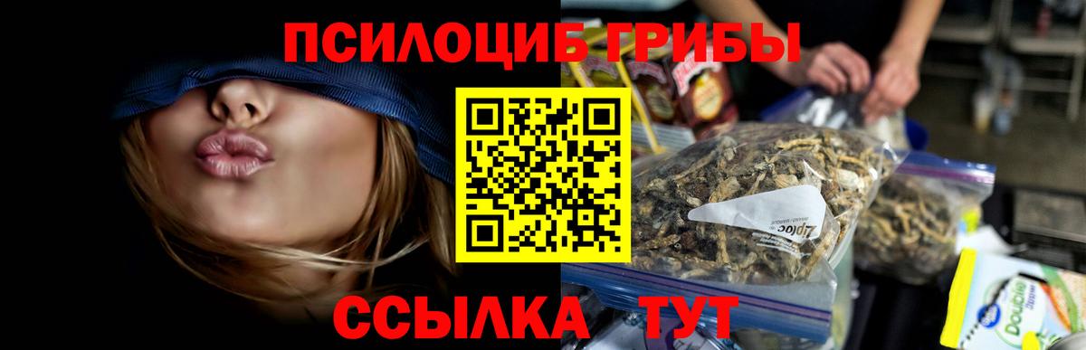 Псилоцибиновые грибы мухоморы Абинск